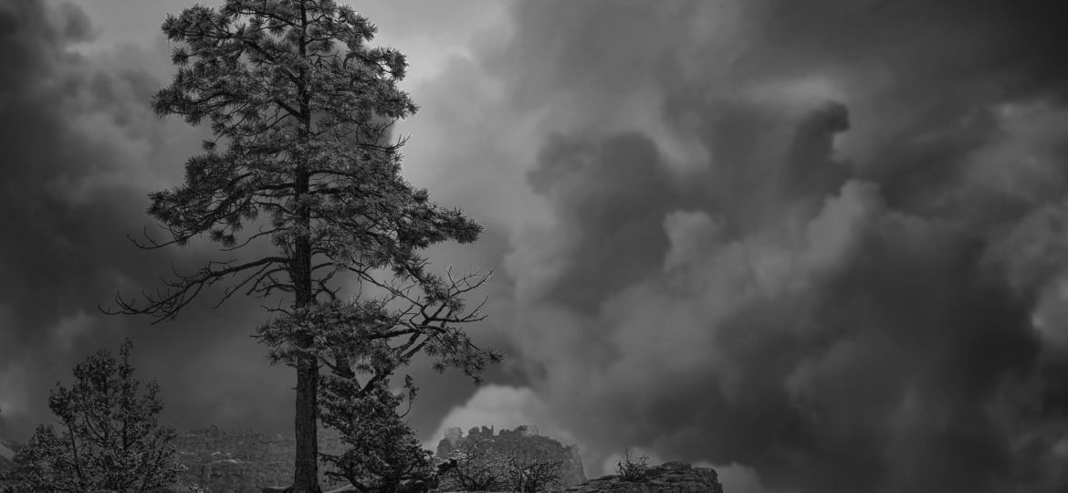 Adaptation_L4_bw_rMv