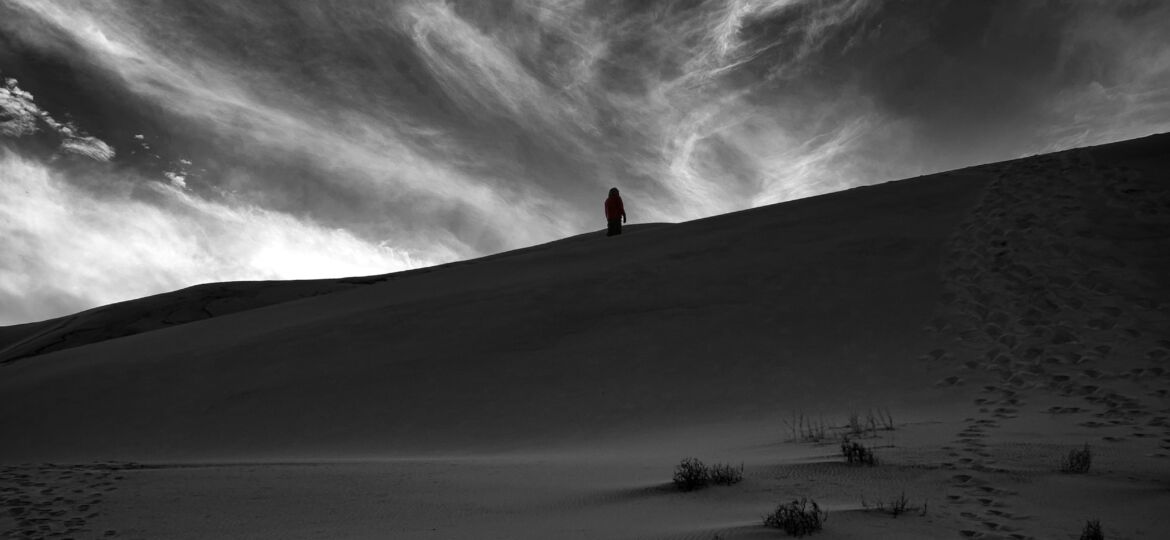 DV_2020_bw_rMv